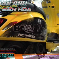 tem rời vespa bearbsick