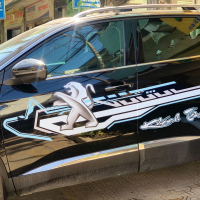 Tem xe hơi Peugos.