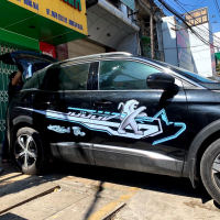 Tem xe hơi Peugos.