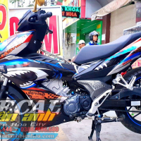 TEM WINER X  CA MẬP