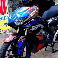 TEM WINER X  CA MẬP