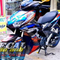 TEM WINER X  CA MẬP