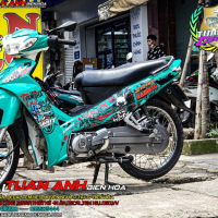 TEM XE SIRIUS  XANH  ĐEN  THÒ NGỌC