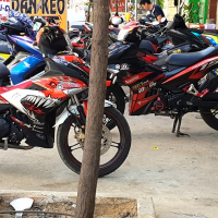 Tem exciter 150 cá mập cực đep