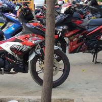 Tem exciter 150 cá mập cực đep