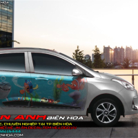 TEM XE HYUNDAI i10 - 3d hoat hinh cá cảnh