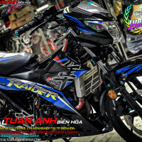TEM RAIDER HAYABUSA XANH ĐEN