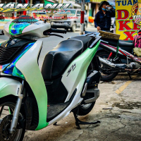 Tem Trùm 2 màu xanh trắng sh 150 - 2019