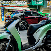 Tem Trùm 2 màu xanh trắng sh 150 - 2019