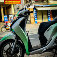 Tem Trùm 2 màu xanh trắng sh 150 - 2019