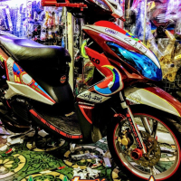 TEM TRUM LUVIAS  rossi đỏ trắng