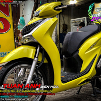 Dán decal xe sh đẹp -  mẫu dán xe Sh 2020 2021 MÀU VÀNG đẹp và hot nhất