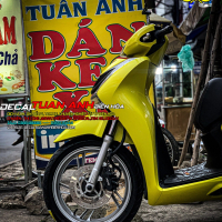 Dán decal xe sh đẹp -  mẫu dán xe Sh 2020 2021 MÀU VÀNG đẹp và hot nhất