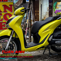 Dán decal xe sh đẹp -  mẫu dán xe Sh 2020 2021 MÀU VÀNG đẹp và hot nhất