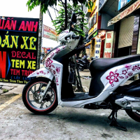 Tem trùm xe Vision 2014 trắng hồng hoa