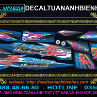 tem sirius hayabusa