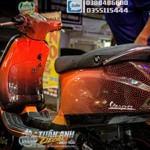 tem-trum-vespa-125lx-2line-cam-den-hao-van-chim