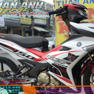 tem-y15zr-trang-do