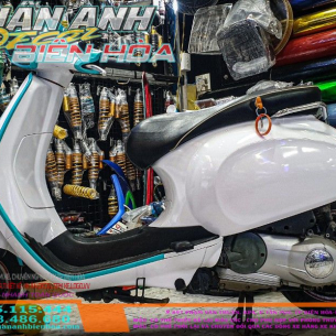 dan-doi-mau-vespa-phoi-mau-trang-xanh