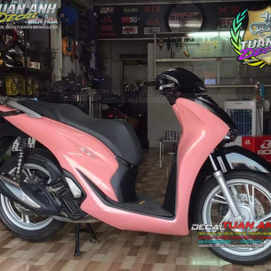 wrap-dan-doi-mau-sh-2020-hong-phan-cao-cap