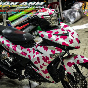 tem-exciter-150-cho-dom-trang-hong