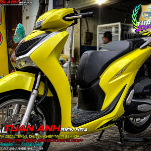 dan-decal-xe-sh-dep-mau-dan-xe-sh-2020-2021-mau-vang-dep-va-hot-nhat