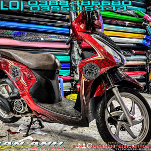 tem-xe-vision-2014-do-den
