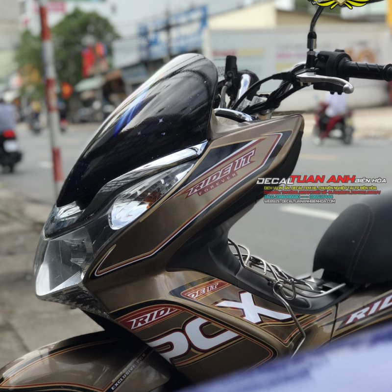 TEM XE PCX VÀNG ĐỒNG